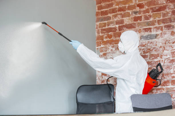 Best Asbestos and Lead Testing During Mold Inspection  in Hawthorne, NY