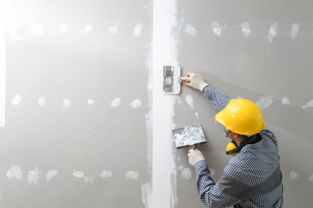 Best Air Quality Testing for Mold Spores  in Hawthorne, NY