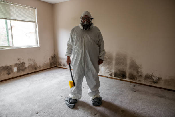Best Mold Damage Restoration  in Hawthorne, NY