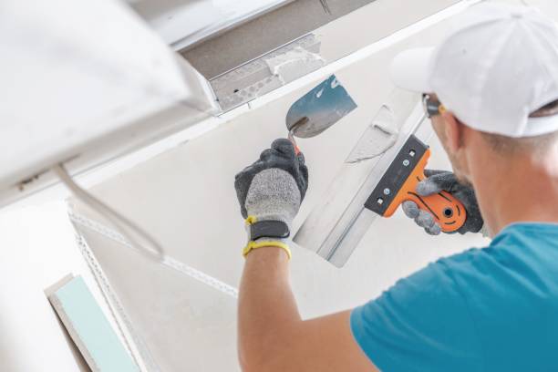 Best Commercial Mold Inspection  in Hawthorne, NY